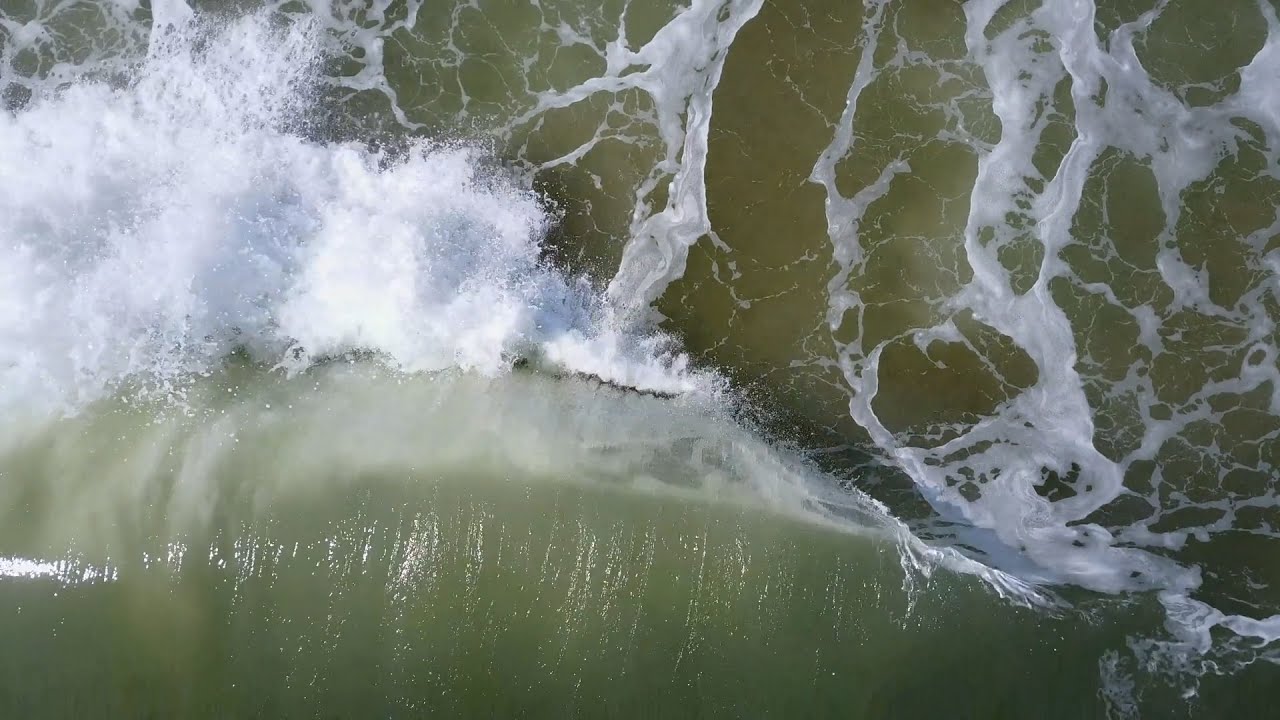 ¿Por qué el mar se está poniendo verde?
