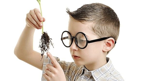 Un estudio revela que ser el primogénito influye en la inteligencia