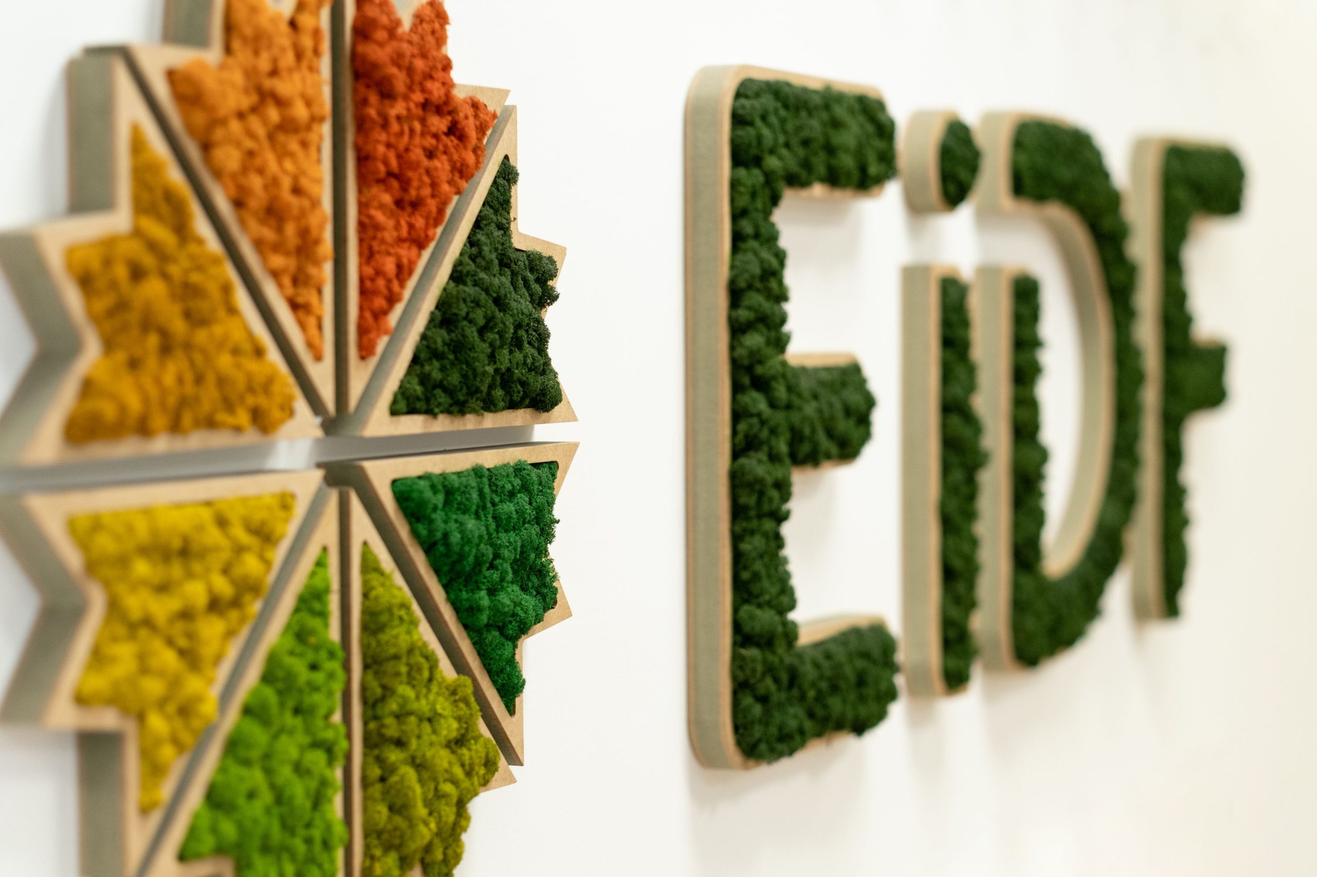 EiDF está en el escaparate; su precio, 400 millones de euros