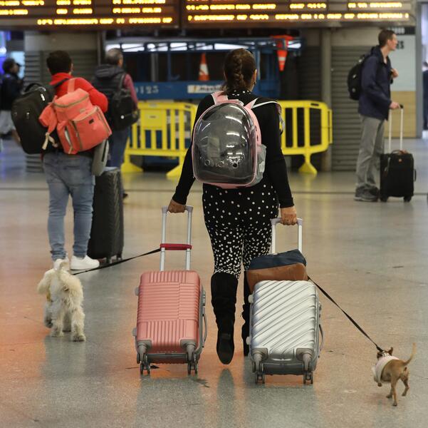 Renfe transporta a 1.800 perros en su primer año de servicio y renueva su acuerdo con Nestlé-Purina