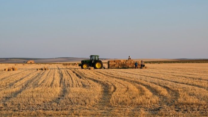 Agricultura en España