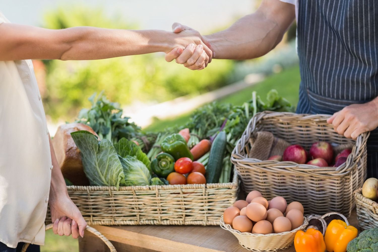 ¿Qué es la agricultura orgánica?