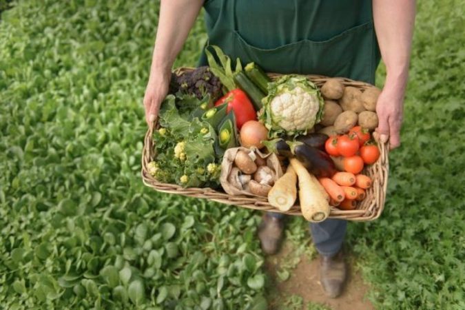 Agricultura sostenible 6 Merca2.es