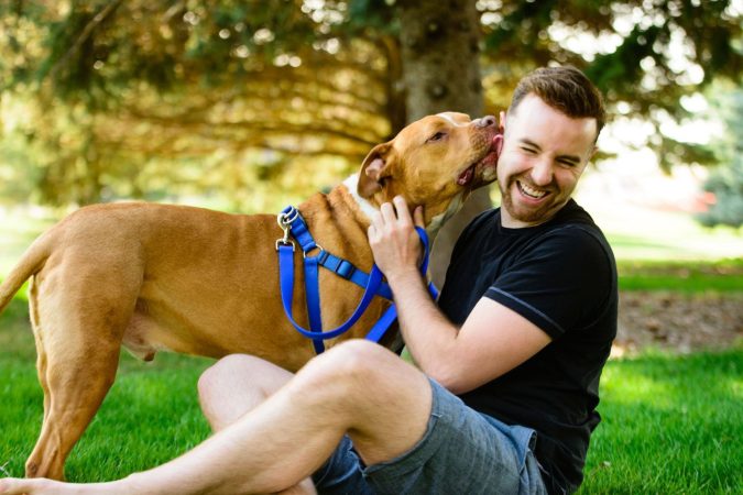 Estas son las razas de perro 'potencialmente peligrosas' para la nueva Ley de Bienestar Animal 3 Merca2.es Chico con un perro PPP