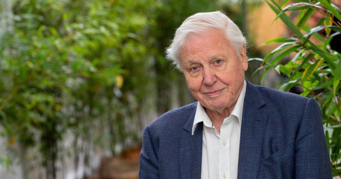 David Attenborough