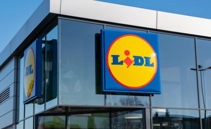 Lidl tiene el accesorio que necesitas para tener tu coche como una patena