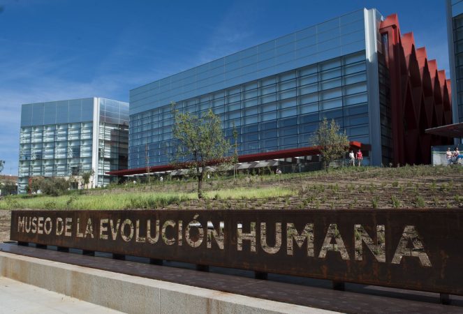 Explorando el Museo de la Evolución Humana