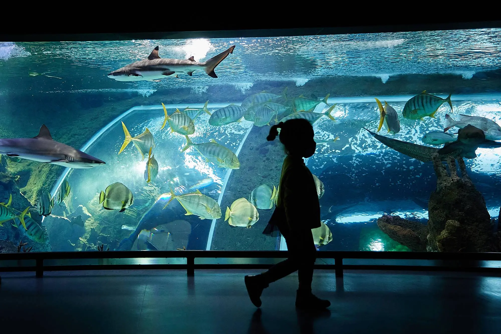 Parque de las Ciencias, Granada: conoce el museo interactivo de ciencia más impactante de España