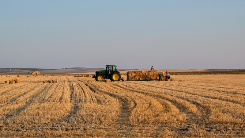 Sector agricola en Espana 1 Merca2.es