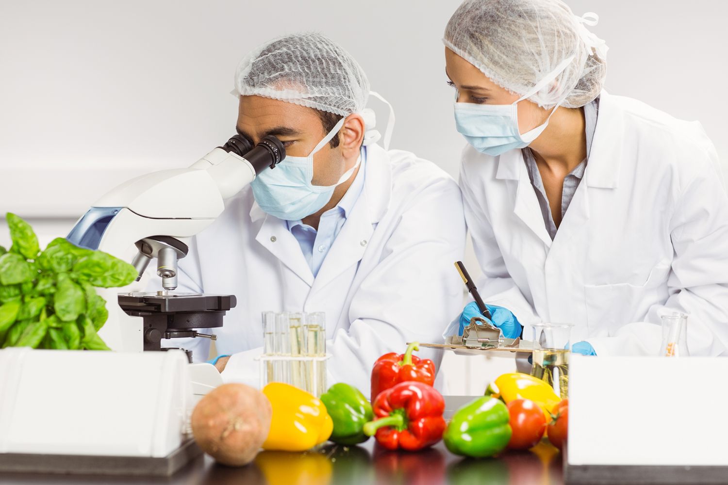 Seguridad alimentaria: 6 claves para entender a la alimentación saludable