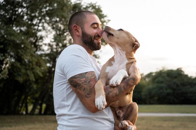 Seguro para tu perro