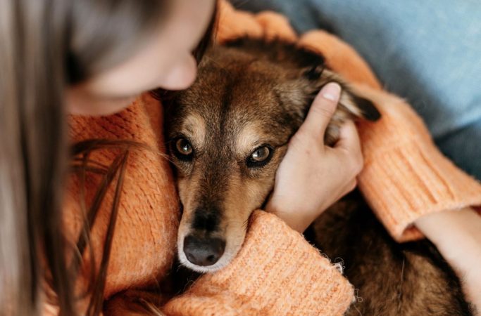 abrazo perro Merca2.es