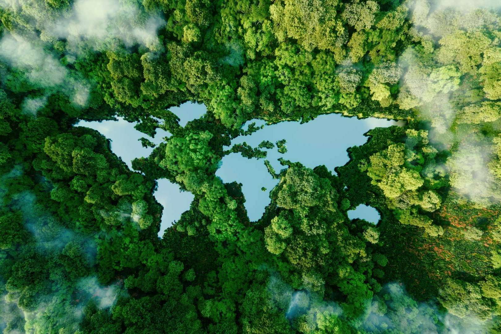 Laragon, un software para gestión ambiental