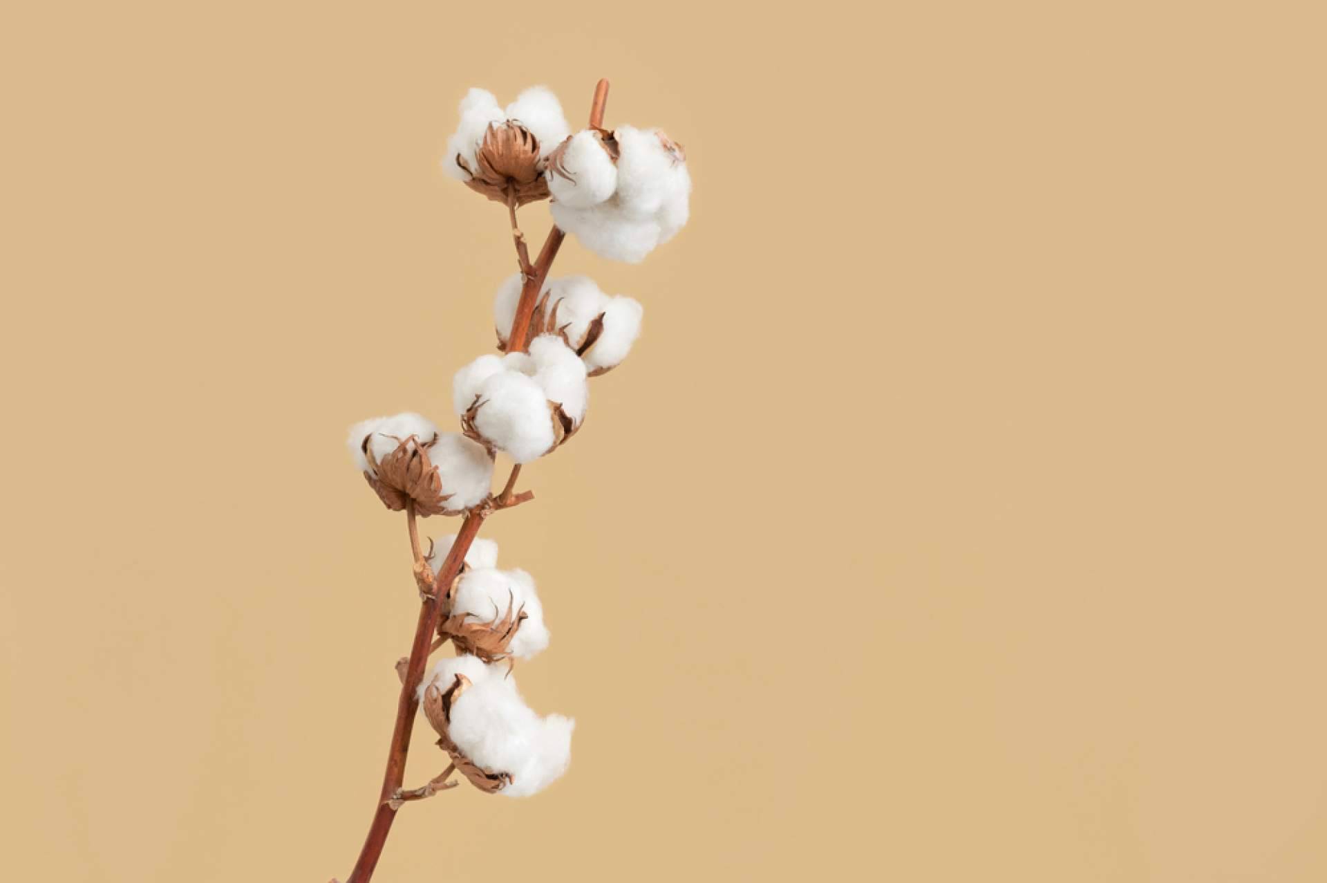 Adquirir hilos de algodón para crochet en la tienda online de Lidia Crochet Tricot