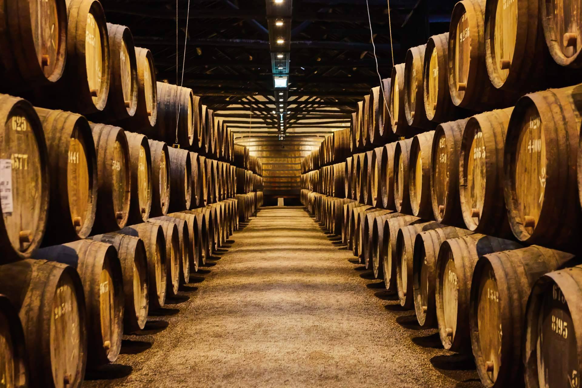 Certitec lanza al mercado un ERP vitivinícola específico para bodegas