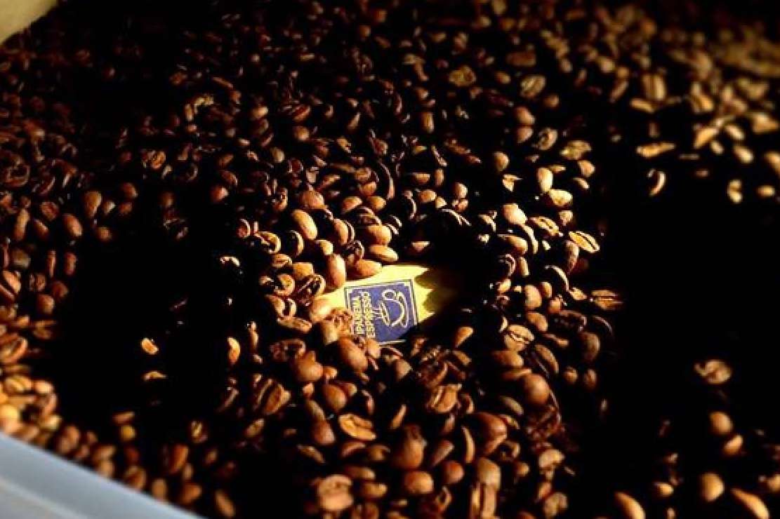 Fresh Ocs ofrece café de alta calidad y alquiler de máquinas para empresas