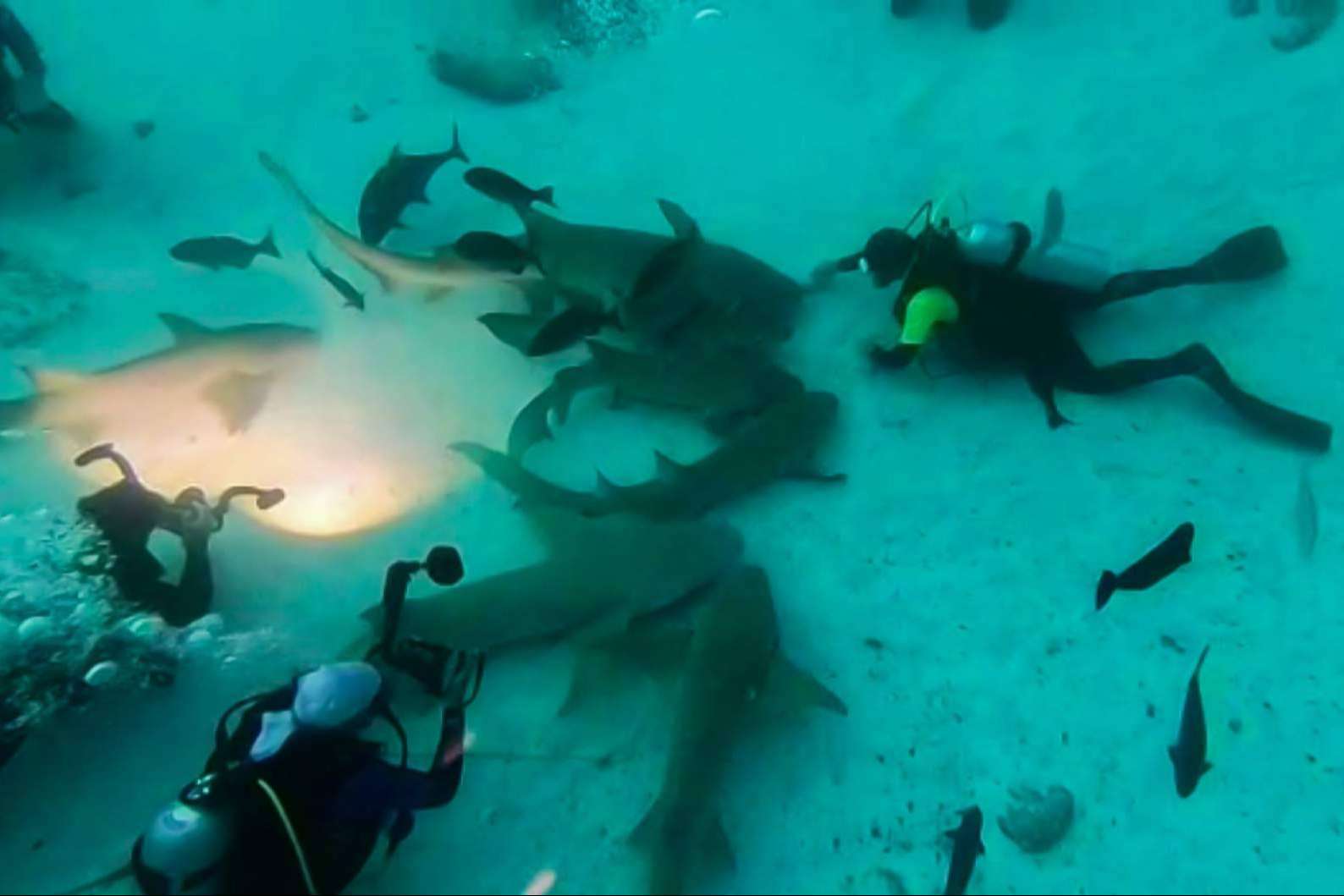 Drop Dive Maldives es una escuela de buceo con españoles en el paraíso del buceo
