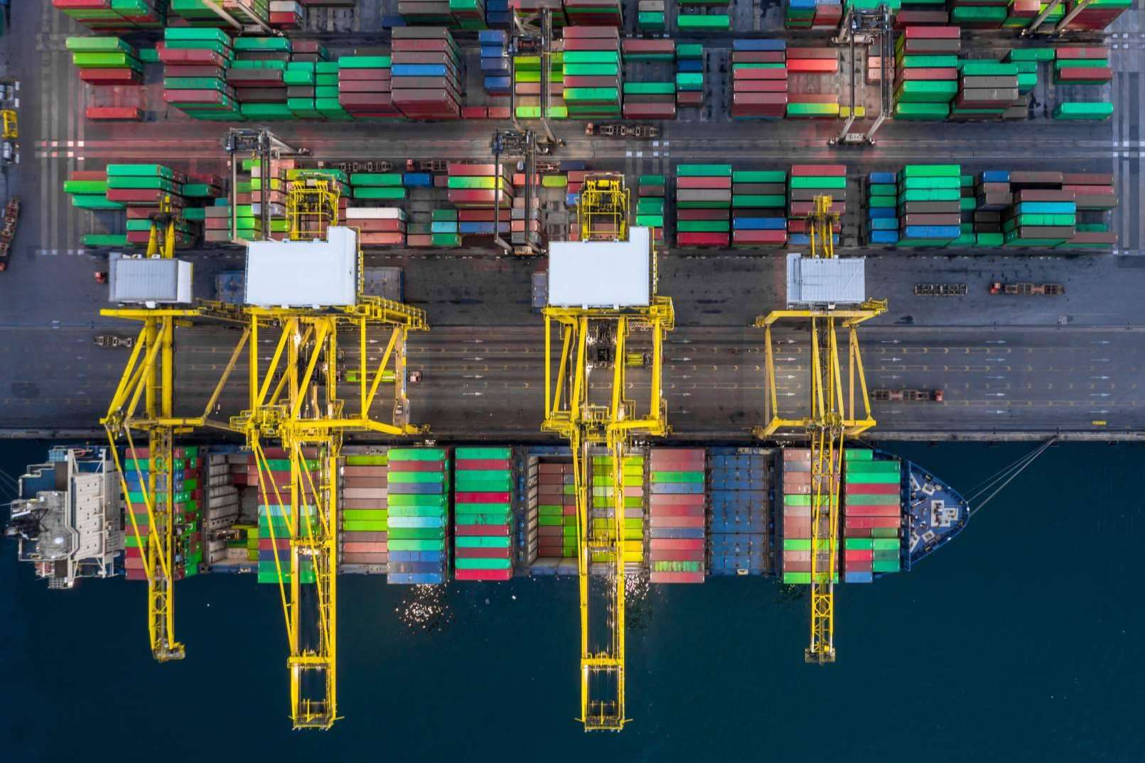 Transporte marítimo y la importancia del control de plagas en las mercancías