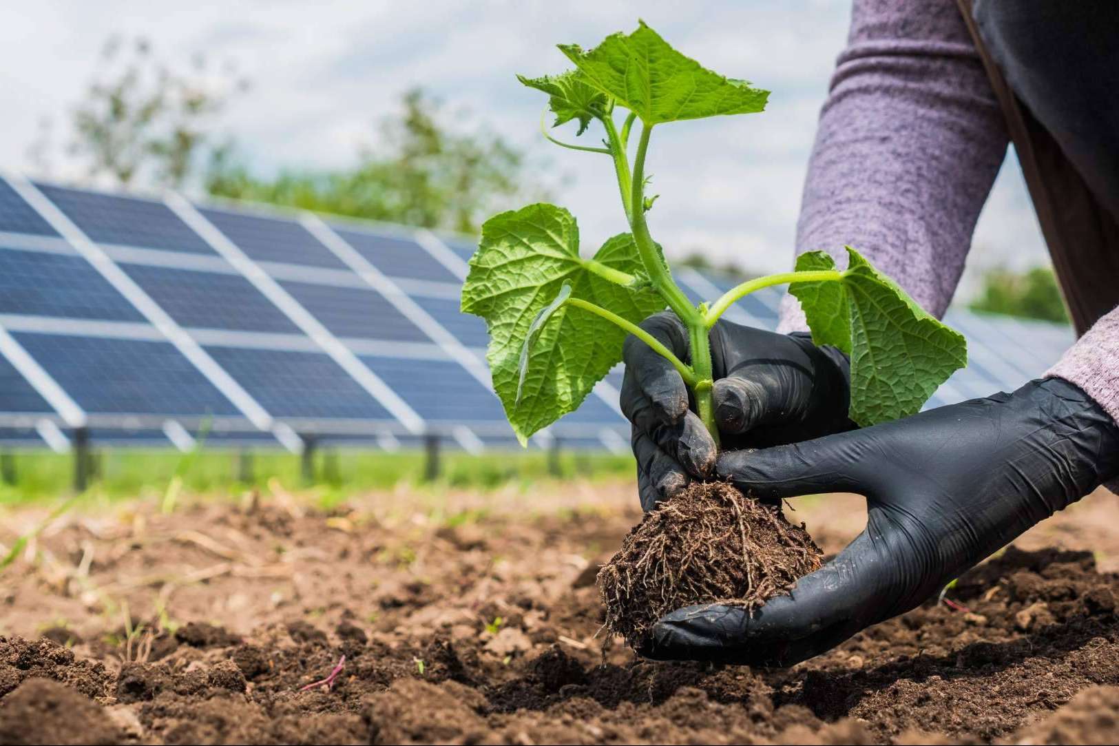 PVAI apuesta por las energías renovables y la sostenibilidad en Aragón