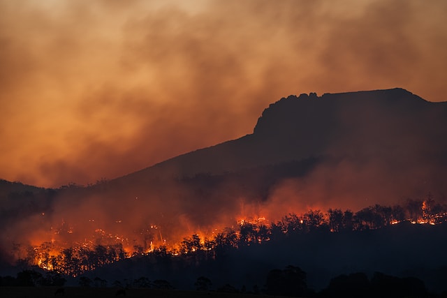 incendio cambio climatico Matt Palmer Unsplash Merca2.es