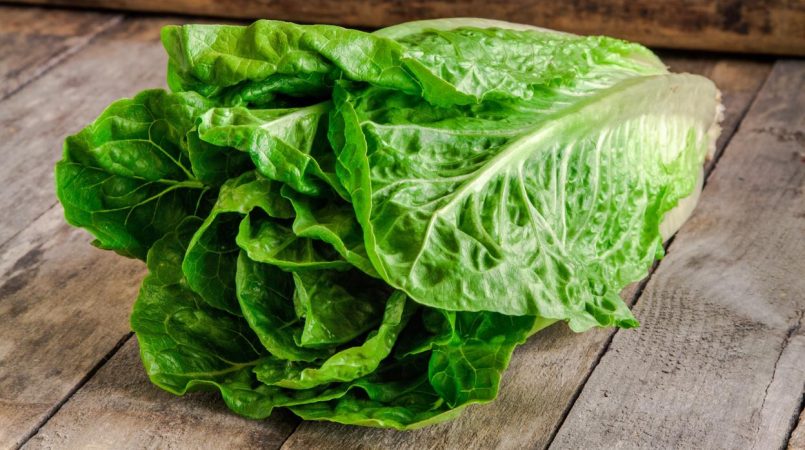 lechuga Merca2.es