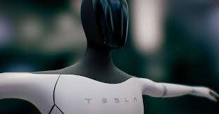 ¿Es Elon Musk responsable del desarrollo de robots sexuales?