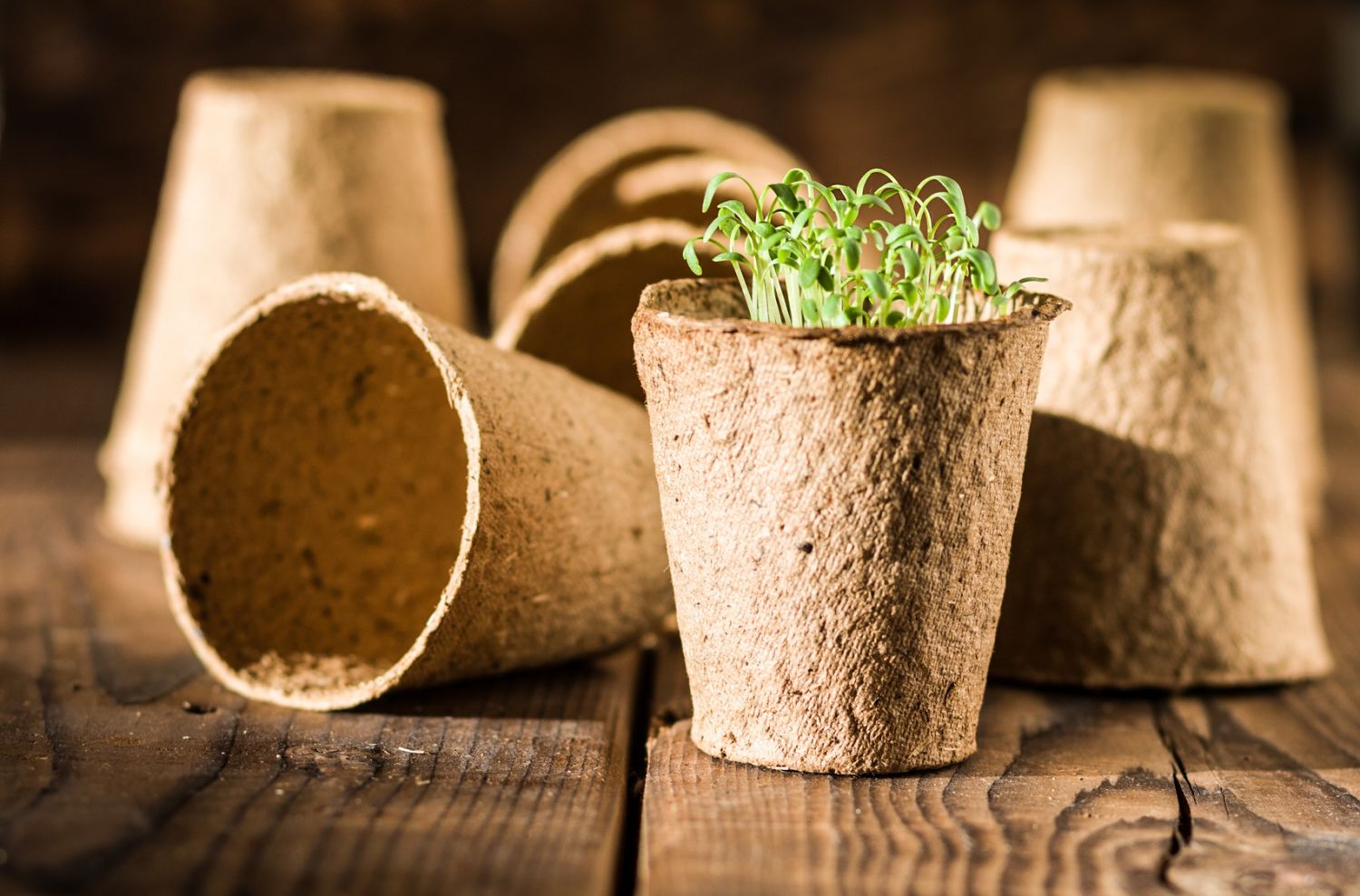 Desventajas de los plásticos biodegradables