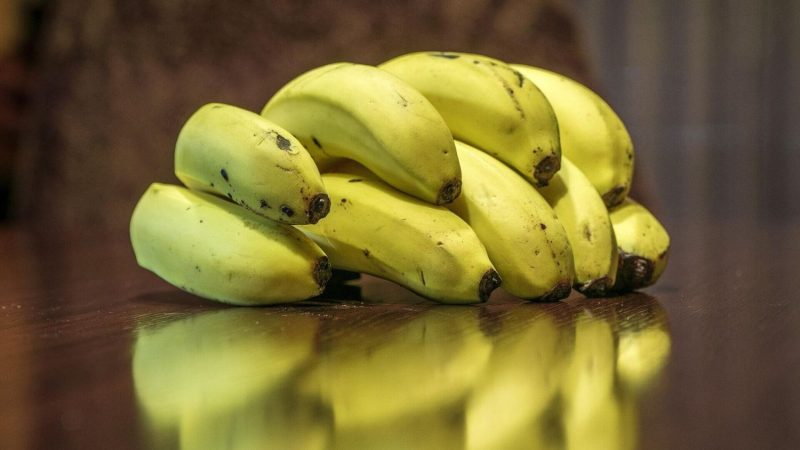 En Canarias, ya es el favorito de todos