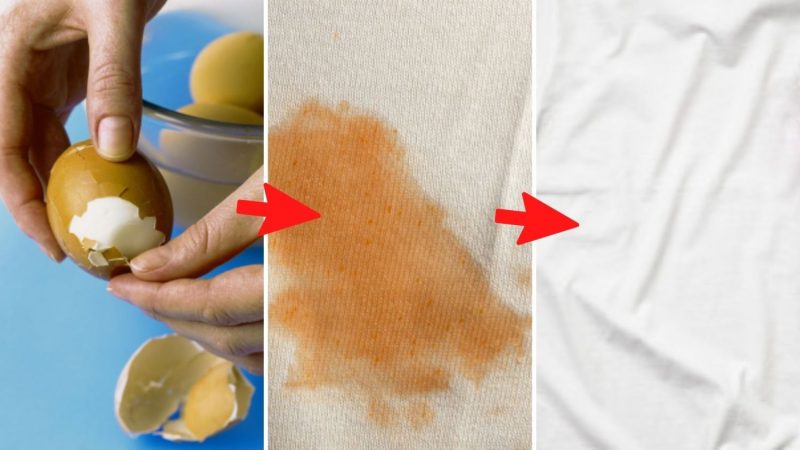 El truco casero que hace que tu ropa esté más limpia: cáscaras de huevo