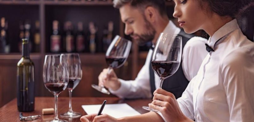 Te vamos a contar cual es el mejor vino español