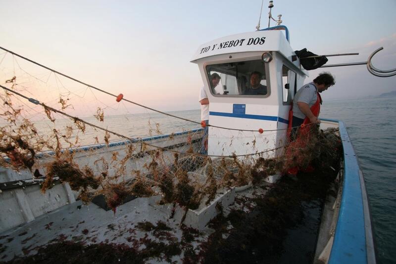 El Gobierno pone en marcha el mecanismo de optimización de la pesca de patudo en el Atlántico