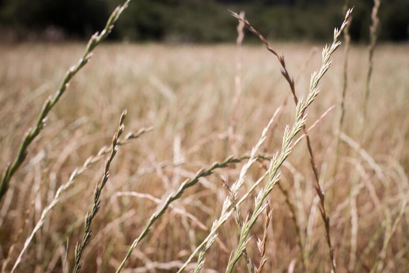 El Gobierno valora la necesidad de mantener los flujos comerciales de productos agrarios ucranianos