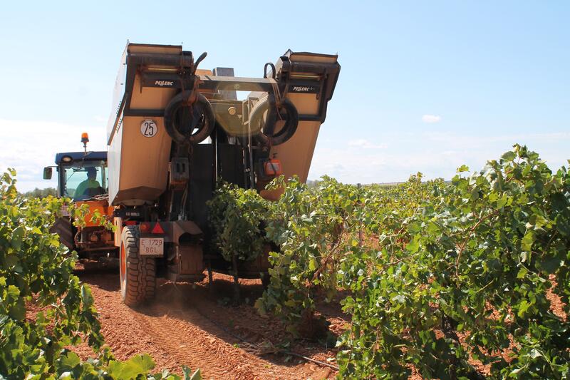 El sector vitivinícola condena rotundamente los ataques al vino español en Francia