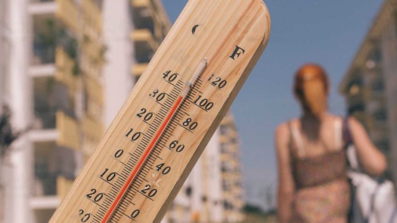 ¿Cómo se presenta este otoño?