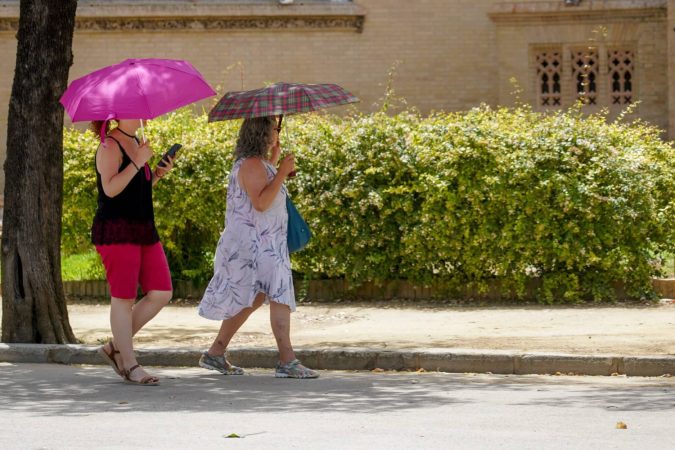 Toma en cuenta los pronósticos