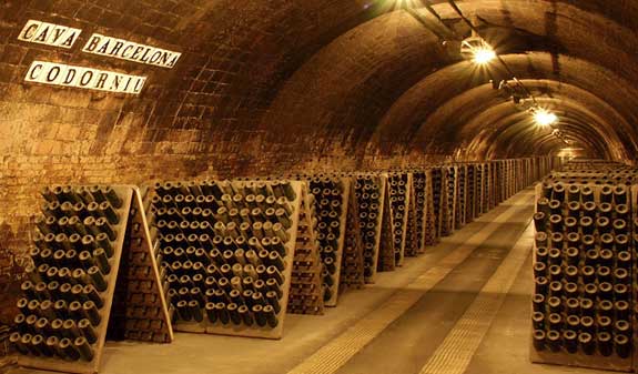 Bodega de Codorniu