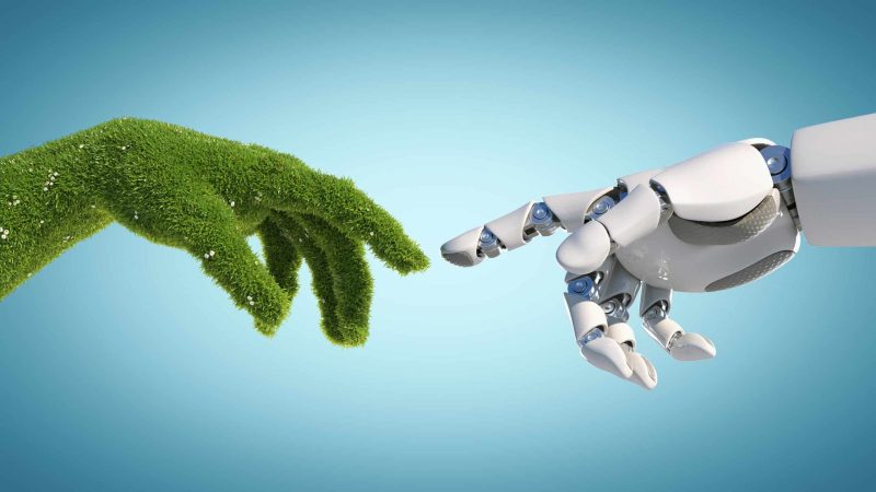 Como aplicar la inteligencia artificial para el monitoreo y conservacion de ecosistemas Merca2.es