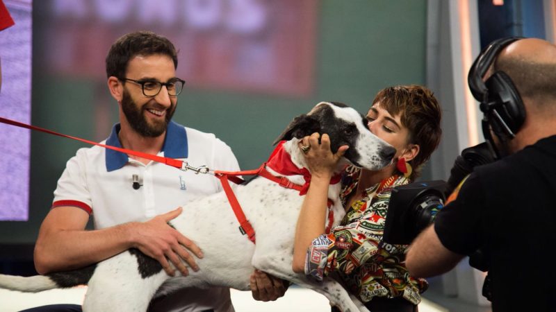 Dani Rovira y un perrito