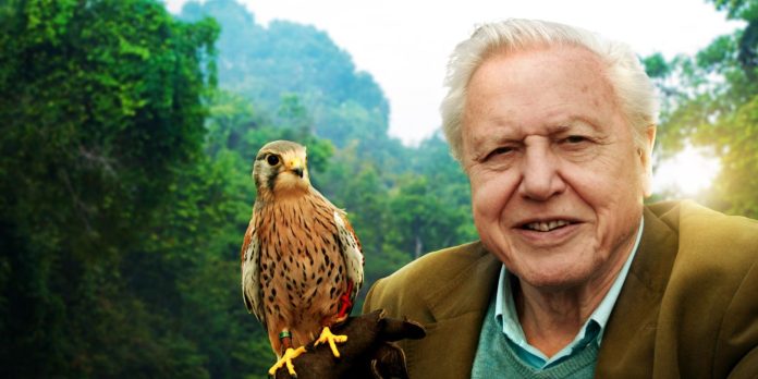 David Attenborough