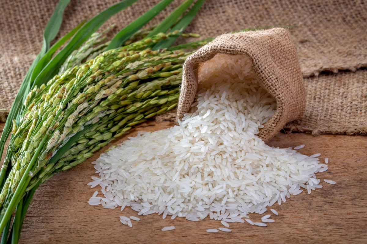 La OCU tiene claro, estas son las mejores marcas de arroz de supermercado