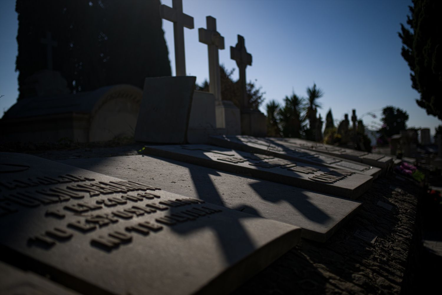 Vista de varias lápidas en el cementerio de Montjuïc con motivo del Día de Todos los Santos , a 1 de noviembre de 2022, en Barcelona, Cataluña (España). El cementerio de Montjuïc se creó a raíz de la gran expansión demográfica y de la subida económica que experimentó la ciudad de Barcelona en la primera mitad del siglo XIX.