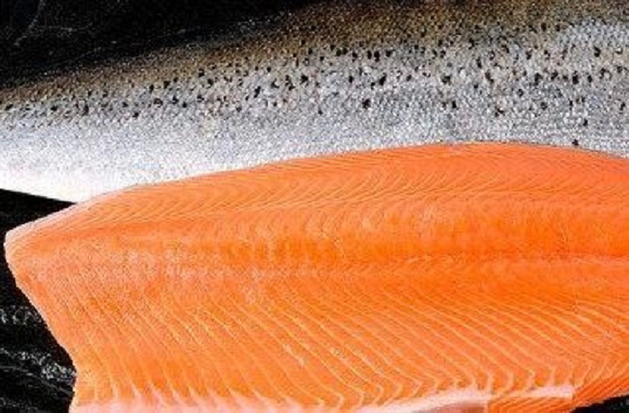 Los expertos de Harvard indican cuál es el alimento más sano y nutritivo del mundo