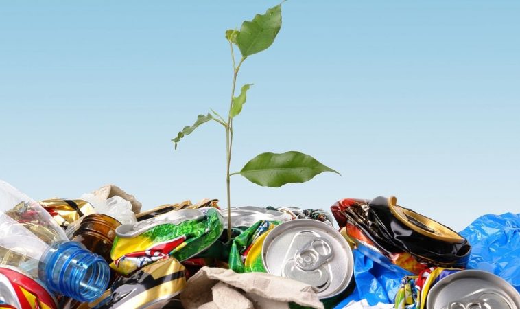 Las cadenas alimentarias cuestionan las medidas del nuevo reglamento europeo de envases y residuos 1 Merca2.es Residuos sólidos