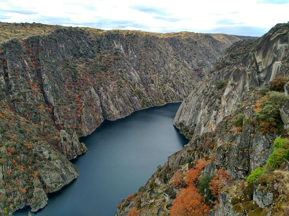 cañones