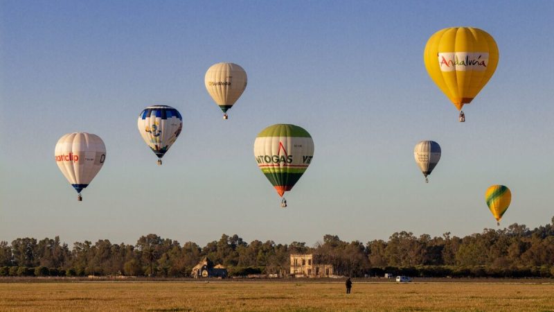Capadocia en España: dónde disfrutar de los mejores festivales de globos aerostáticos sin salir del país 109 Merca2.es campeonato Merca2.es