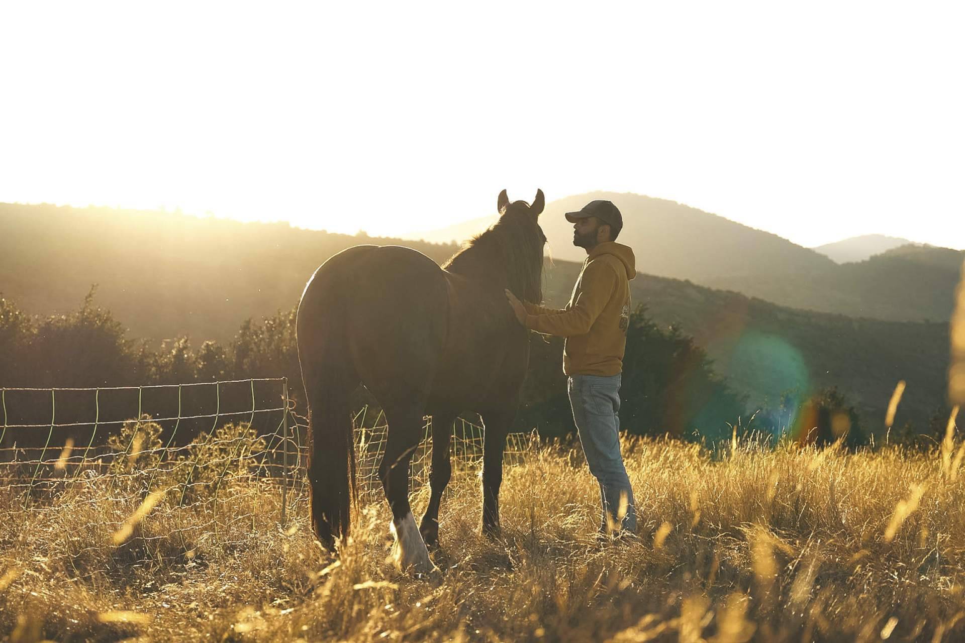 Una travesía de 100 días a caballo por Norteamérica en busca de respuestas