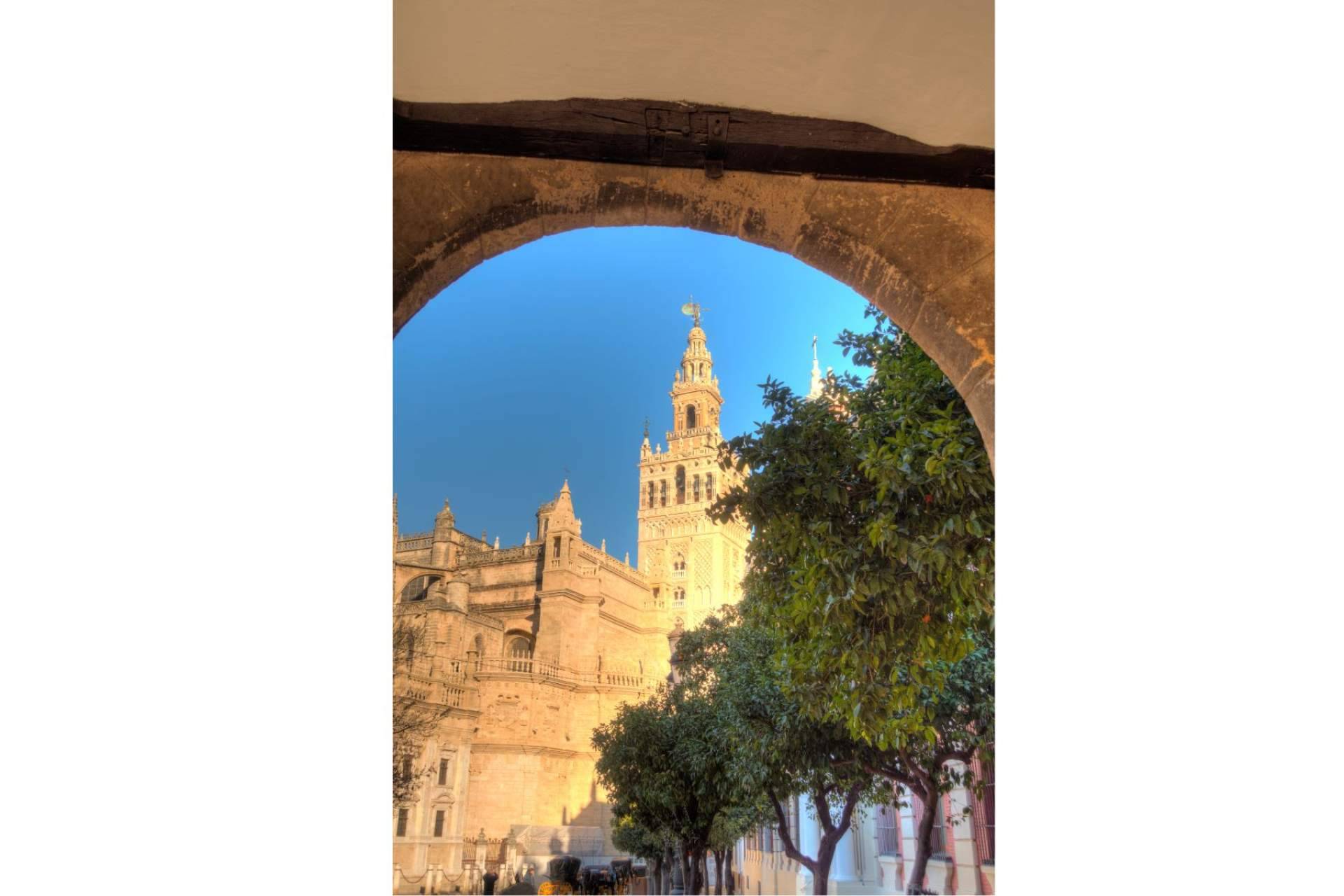 ¿Cómo descubrir la magia de Sevilla? Los tours en Sevilla que nadie se debe perder