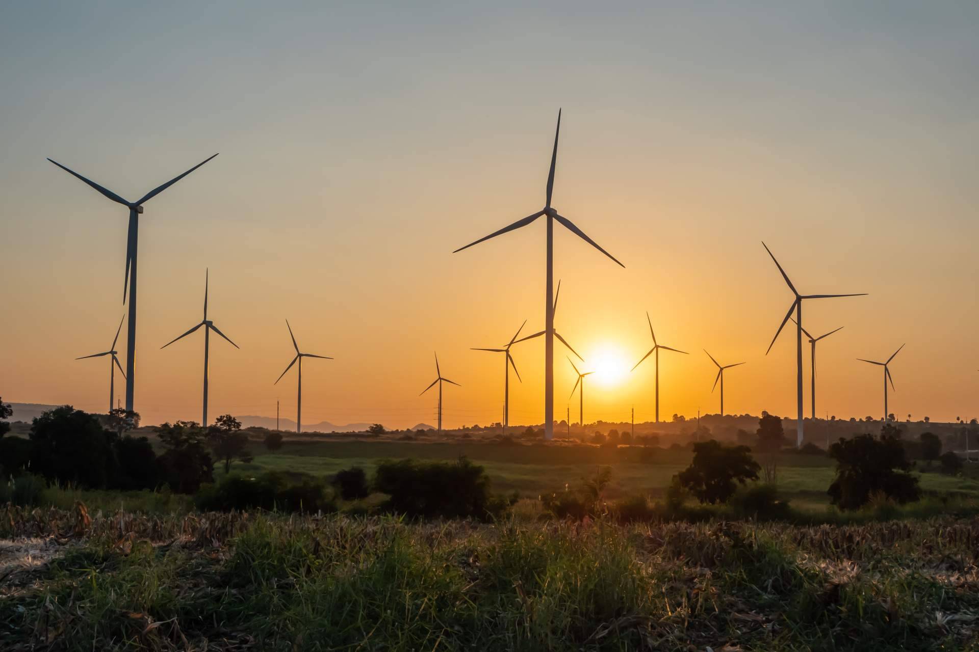 PVAI sobre los diferentes tipos de energías renovables