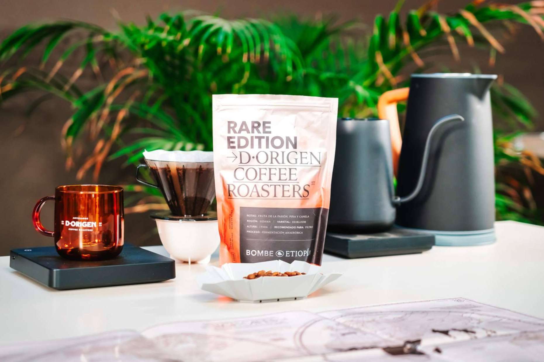 Transformar la cultura del café en España con el proyecto D·Origen Coffee Roasters