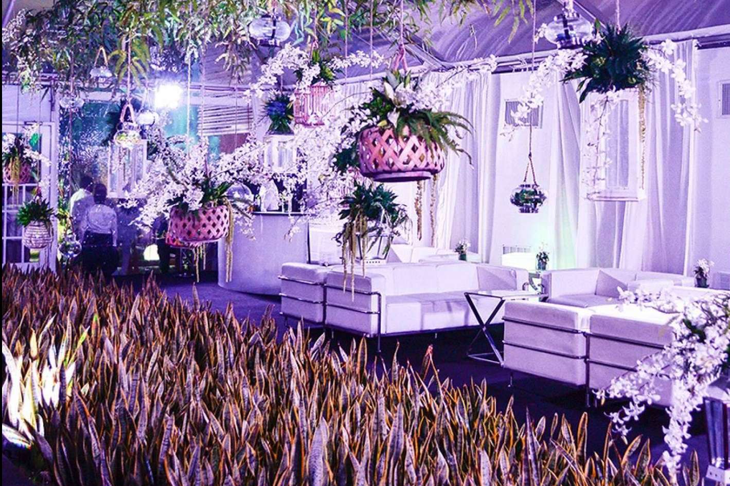 Marka Events, maestría en la creación de emociones y conexión con marcas
